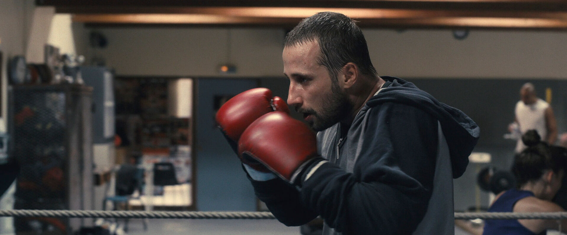 Normal Lens Shot Example Normal Lens Shot from Rust and Bone