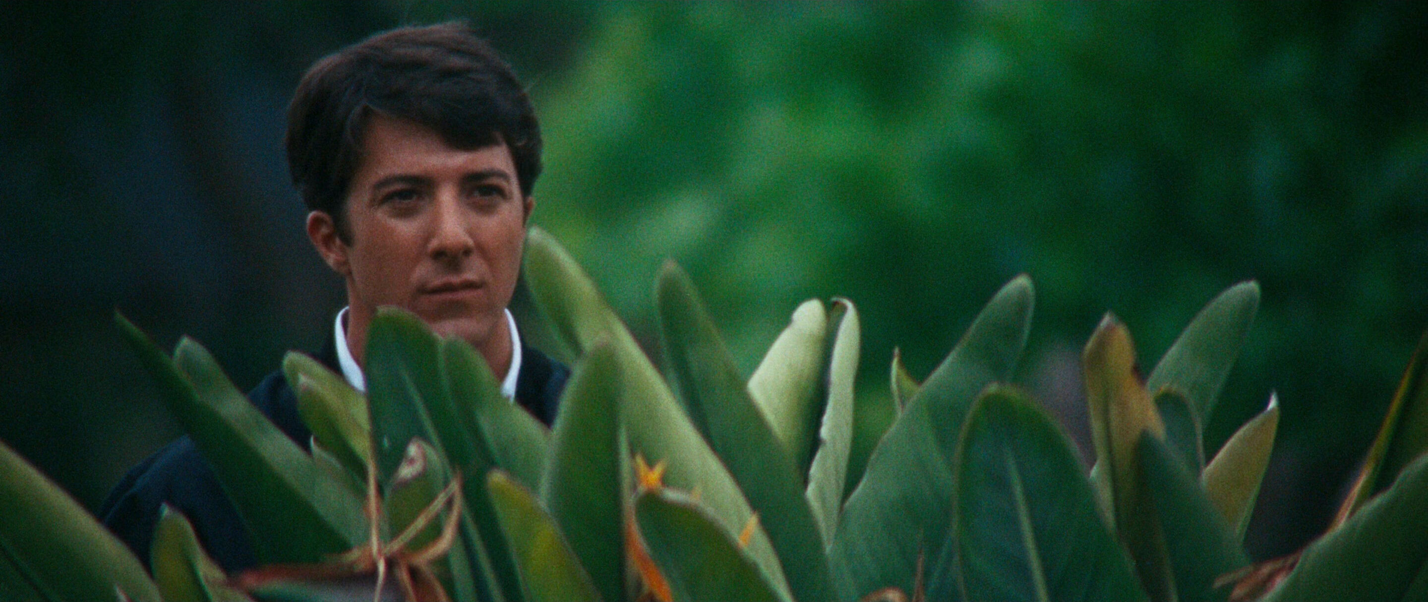 Telephoto Lens Shot Example Telephoto Lens of Robert DeNiro from Taxi Driver