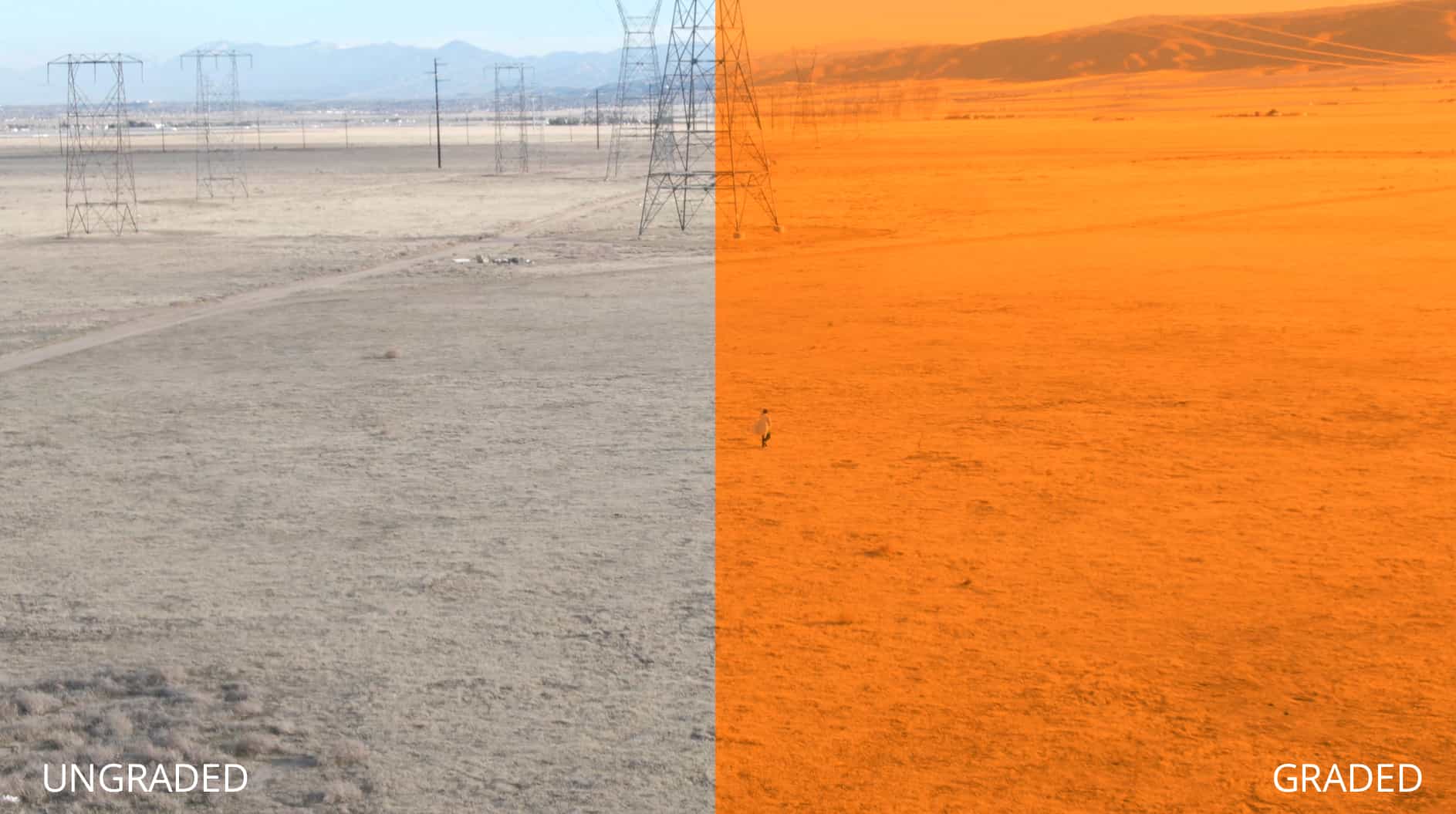 What is LUT - LUT Color Grading - Ridley Scott Film LUTs - FREE Luts Packs